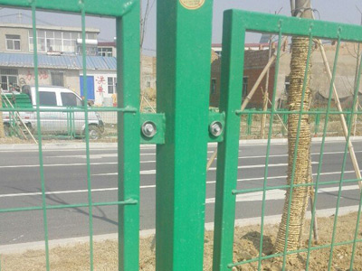 安徽蚌埠黄山(shān)大道绿化隔离项目